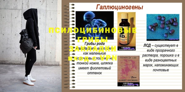 хмурый Зерноград