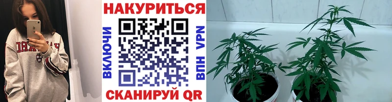 Бошки Шишки ГИДРОПОН Гусиноозёрск